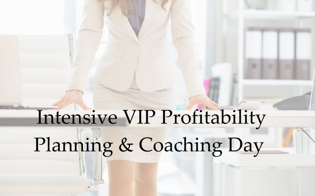 Intensive VIP Profitability Planning & Coaching Day
